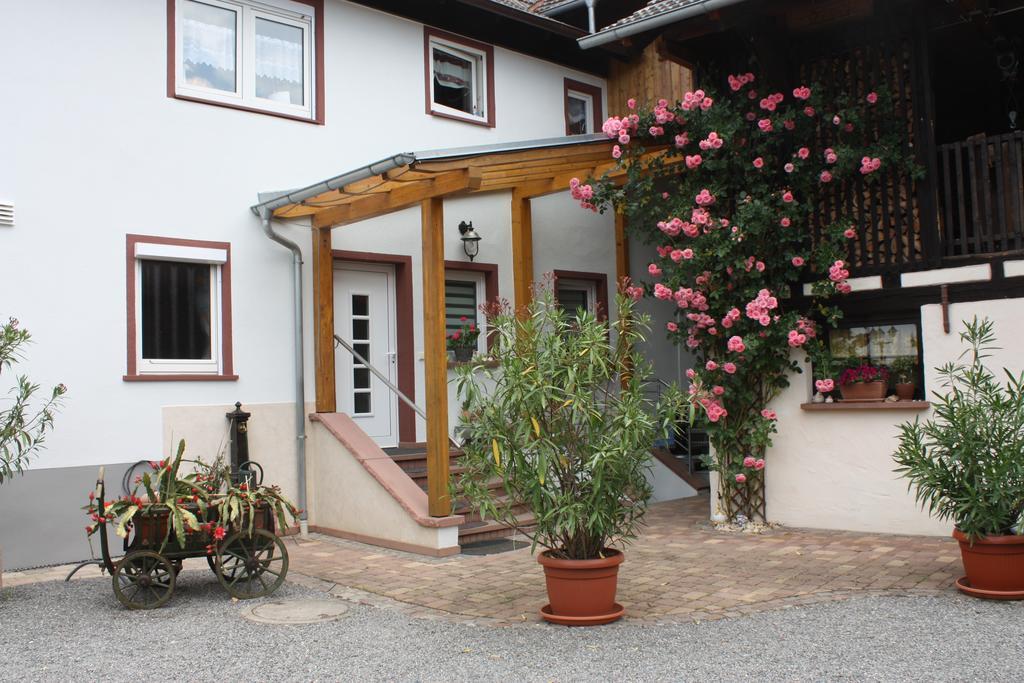 Ferienwohnung Fam. Hoehn Kappel-Grafenhausen Luaran gambar