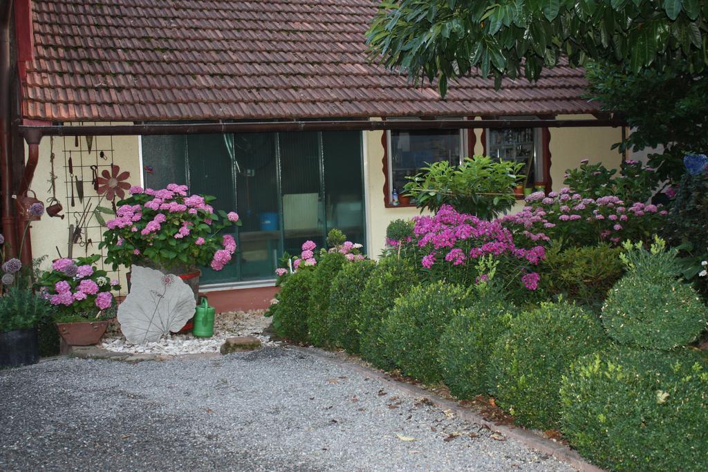 Ferienwohnung Fam. Hoehn Kappel-Grafenhausen Luaran gambar